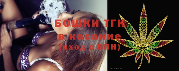 спайс Гусь-Хрустальный