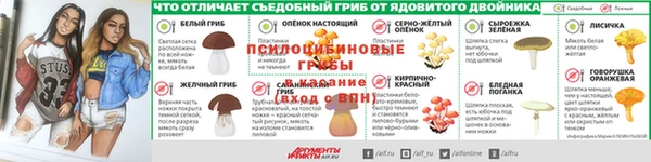 спайс Гусь-Хрустальный